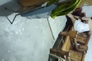 Wikwik Liar di Kursi Bambu Halaman